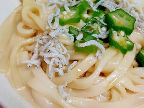 簡単！(^^)しらすとオクラのヘルシーうどん♪